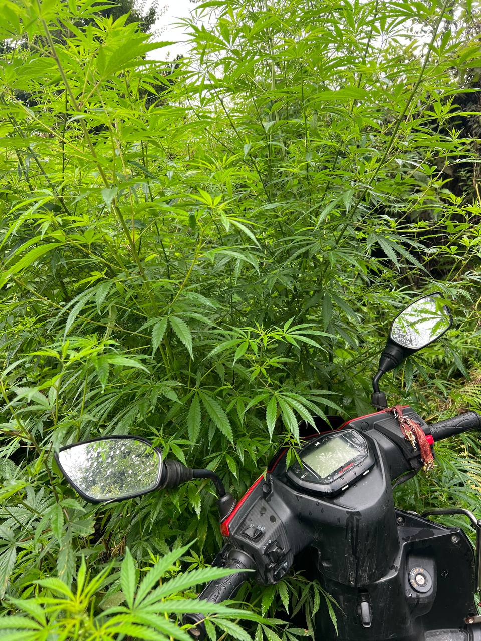 Экспедиция в Гималаи! 🏍️⛰️ 7